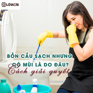 Bồn cầu sạch nhưng có mùi là do đâu?