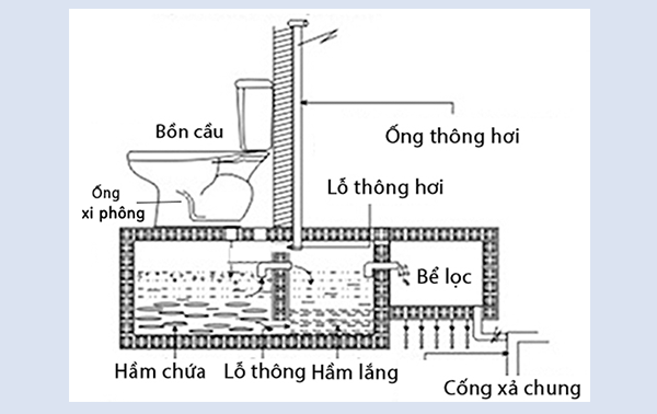Cấu tạo hệ thống bồn cầu bể phốt