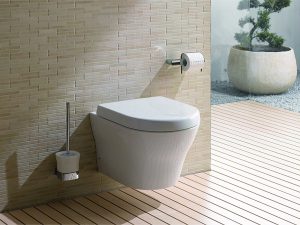 Sử dụng bồn cầu treo tường